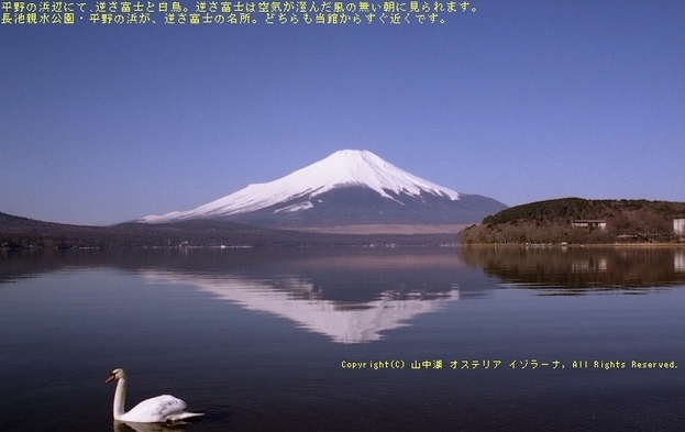 【春得】桜と富士山を楽しむ日本の春・そして新緑の季節へ、♪ のんびり大人旅● 2食付